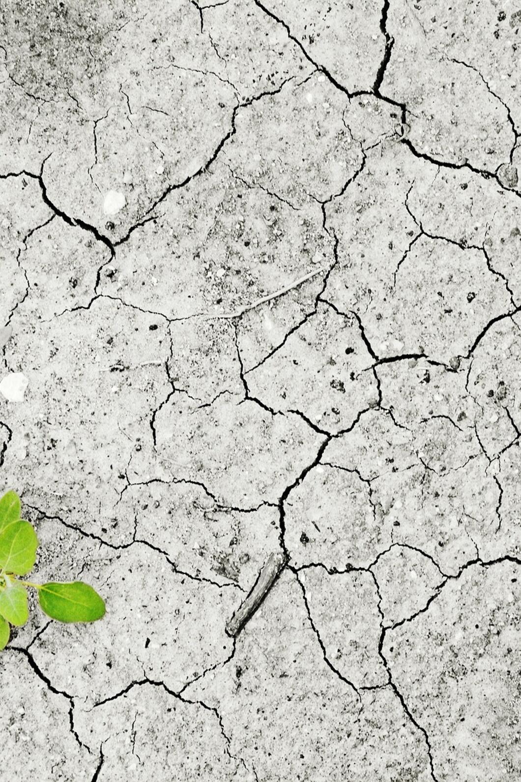 Klimaatverandering