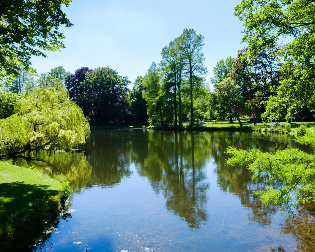 Natuur