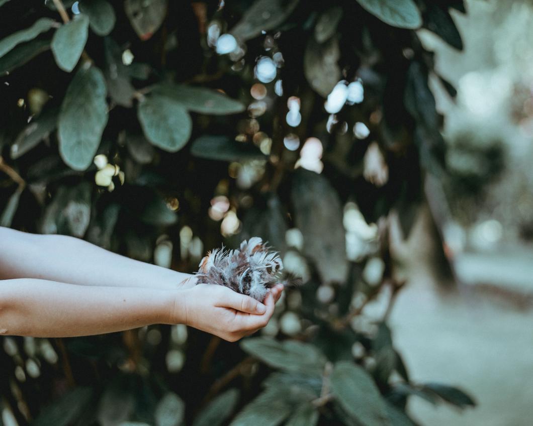 annie-spratt-365606 (1).jpg