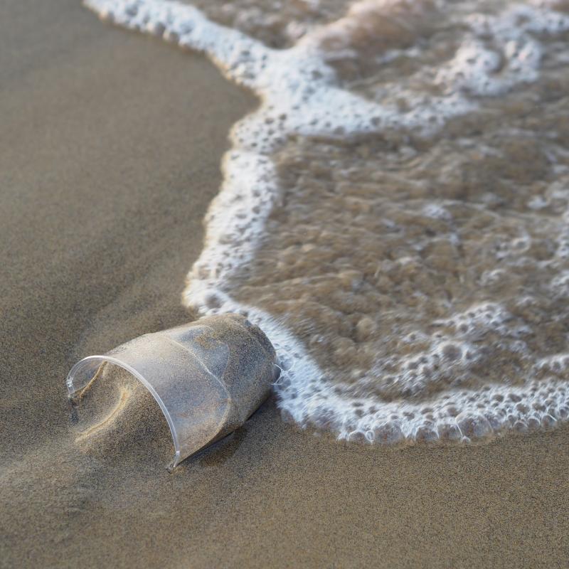 Plastic beker.jpg