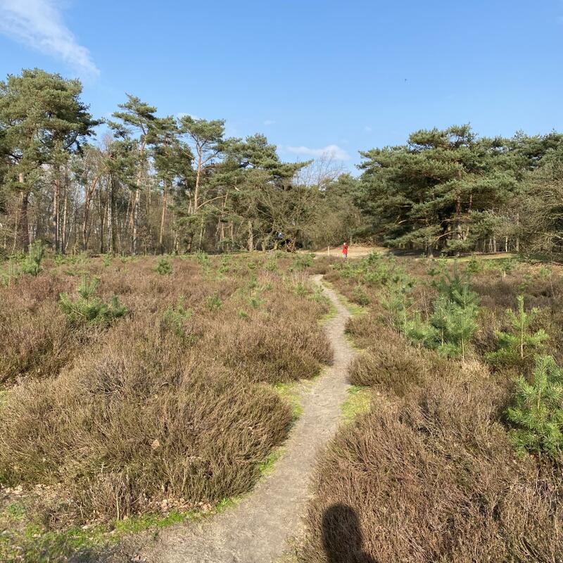 Natuur Weert.jpg